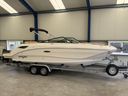 Sea Ray SDX 250