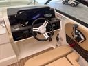 Sea Ray SDX 250