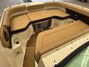 Sea Ray SDX 250
