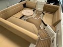Sea Ray SDX 250