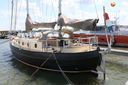 Danish Rose 42