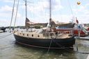Danish Rose 42