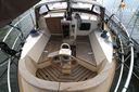 Danish Rose 42
