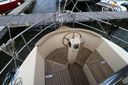 Danish Rose 42