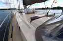 Danish Rose 42