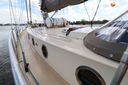 Danish Rose 42