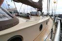 Danish Rose 42
