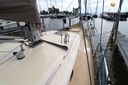 Danish Rose 42