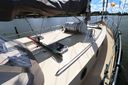 Danish Rose 42