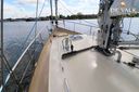 Danish Rose 42