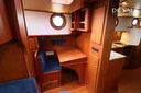 Danish Rose 42