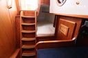 Danish Rose 42