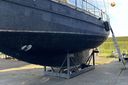 Danish Rose 42