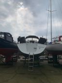 Feeling 346 DI Swaalfke