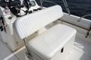 Boston Whaler 180 Dauntless nader te bepalen