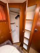 Excellent 1000 Hybride Patrol Cressida