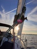 Delphia Yachts 29 Kiwi