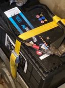 Paans Schokker Zeekoet