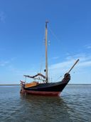 Paans Schokker Zeekoet