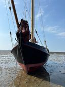 Paans Schokker Zeekoet