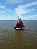 Paans Schokker Zeekoet