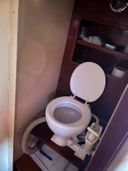 Paans Schokker Zeekoet