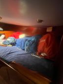 Paans Schokker Zeekoet