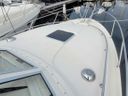 Saga 32 Zeemeeuw