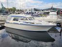 Saga 32 Zeemeeuw