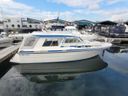 Saga 32 Zeemeeuw