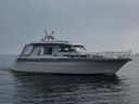 Saga 32 Zeemeeuw