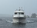 Saga 32 Zeemeeuw