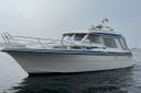 Saga 32 Zeemeeuw