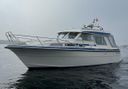 Saga 32 Zeemeeuw