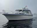 Saga 32 Zeemeeuw