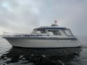 Saga 32 Zeemeeuw