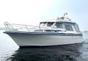 Saga 32 Zeemeeuw