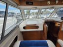Saga 32 Zeemeeuw