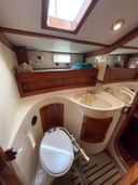 Freedom 44 Ivory Goose