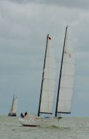 Freedom 44 Ivory Goose