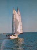 Freedom 44 Ivory Goose