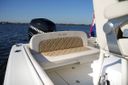 Chris Craft Catalina 23 Rooster