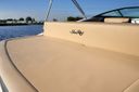 Sea Ray SPX 210 Sea Ray