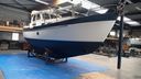 Neptunus Aalst Dartsailer 30