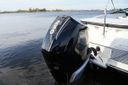 Sea Ray SPX 230 Outboard Sea Ray SPX 230