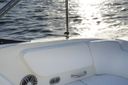 Sea Ray SPX 230 Outboard Sea Ray SPX 230