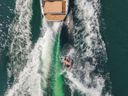 Sea Ray SDX 250 Surf 250 Surf
