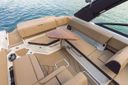 Sea Ray SDX 250 Surf 250 Surf