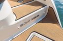 Sea Ray SDX 250 Surf 250 Surf