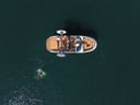 Sea Ray SDX 250 Surf 250 Surf